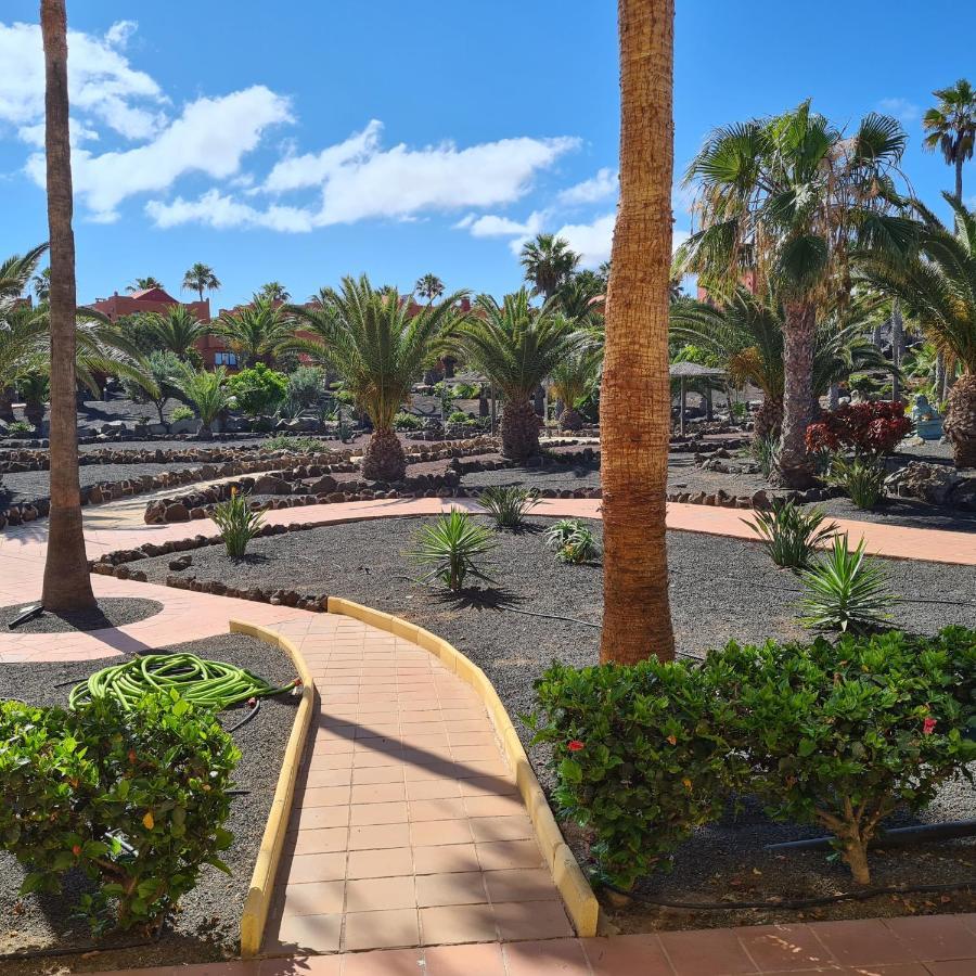Oasis Royal F217 Lägenhet Corralejo Exteriör bild